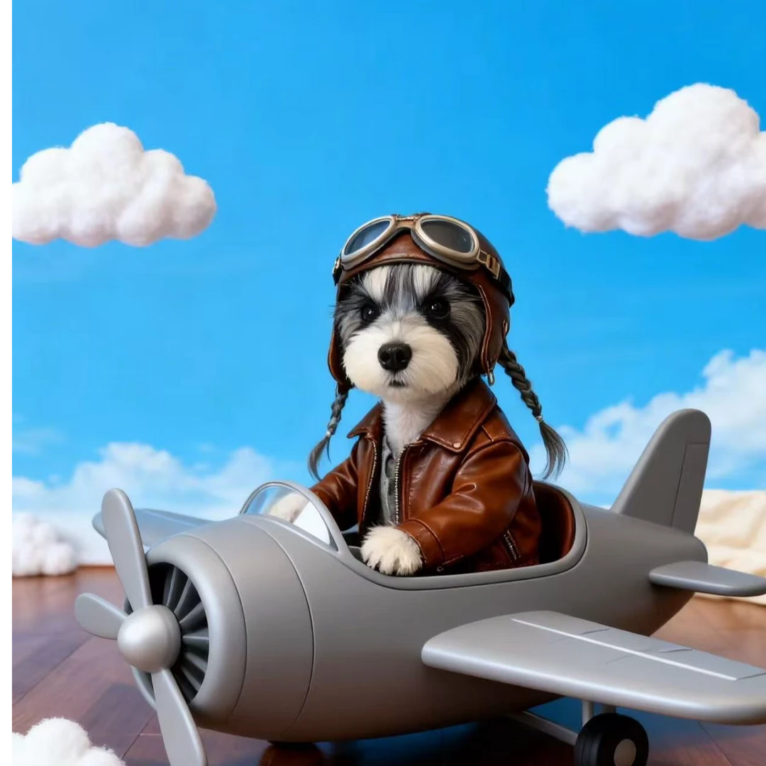 安妮家雪纳瑞宠物狗狗