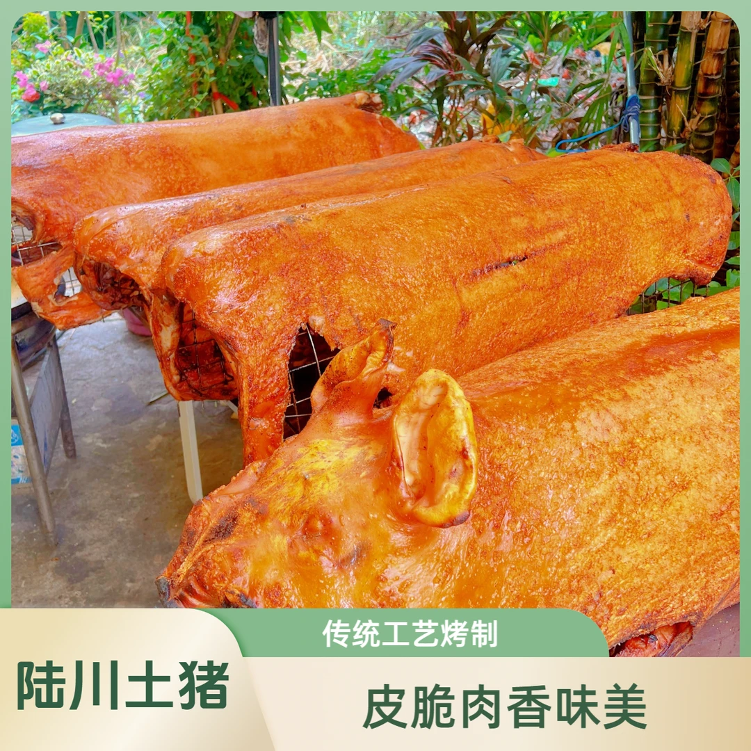 买1斤送1斤到手两斤陆川烤土猪脆皮金黄整只烤猪加热即食抽真空发顺丰