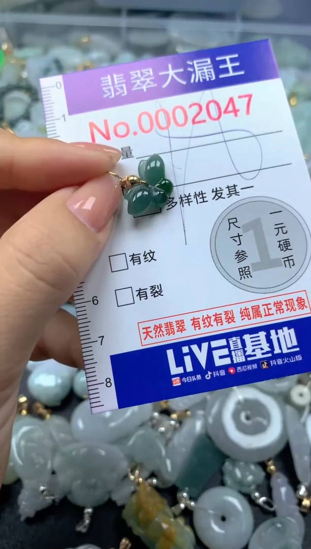 颈饰未镶嵌翡翠2047
