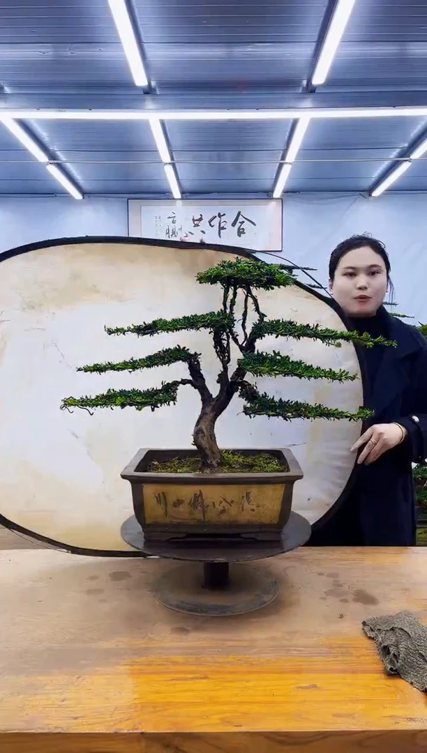 无花朵一物一拍，所见即所得