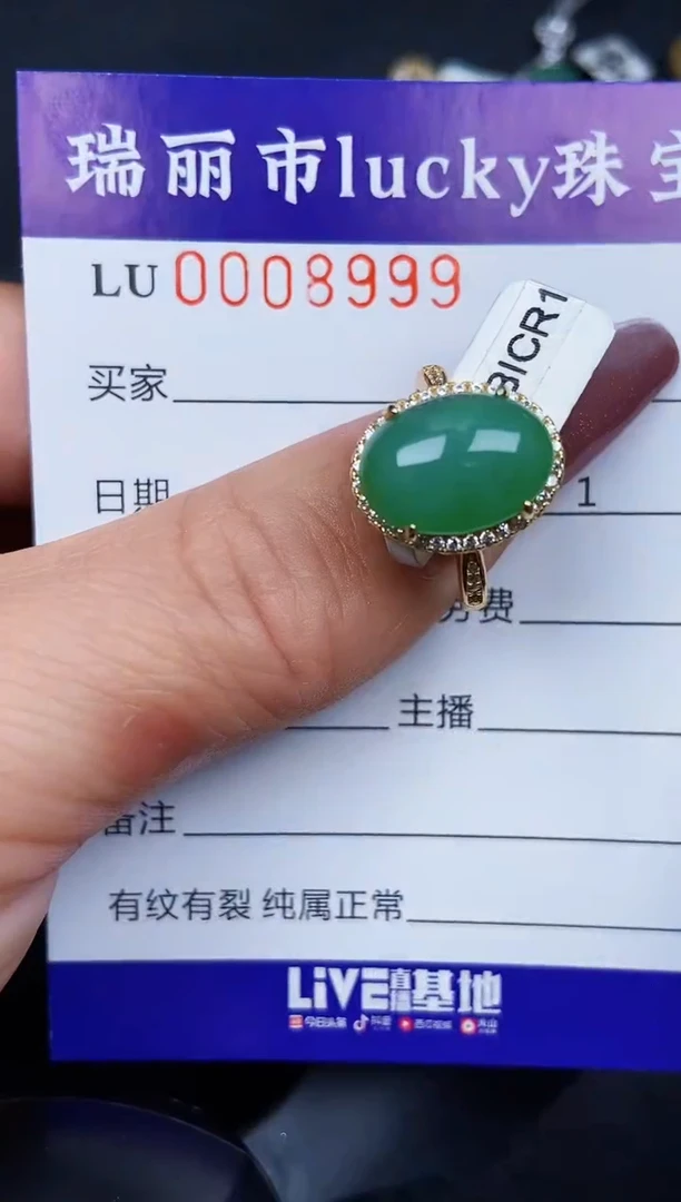 翡翠银S925镶嵌颈饰8999