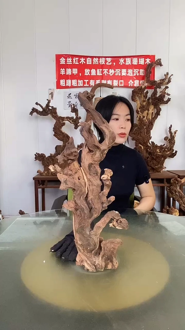 香榧木你****】金丝红木 羊蹄甲