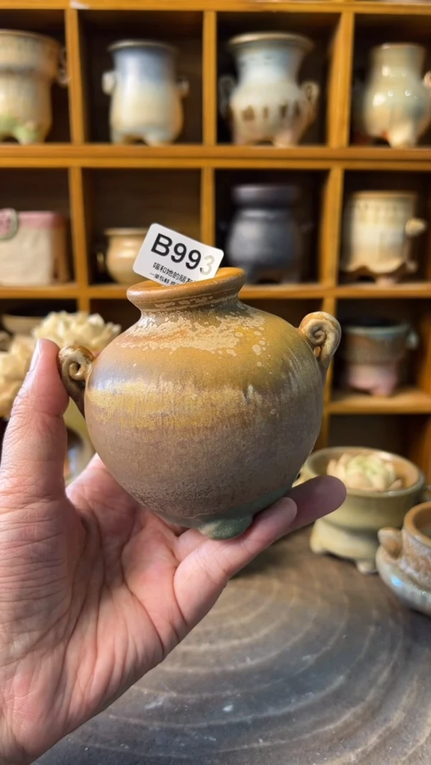 993 内口2.7【多肉花盆多肉盆】