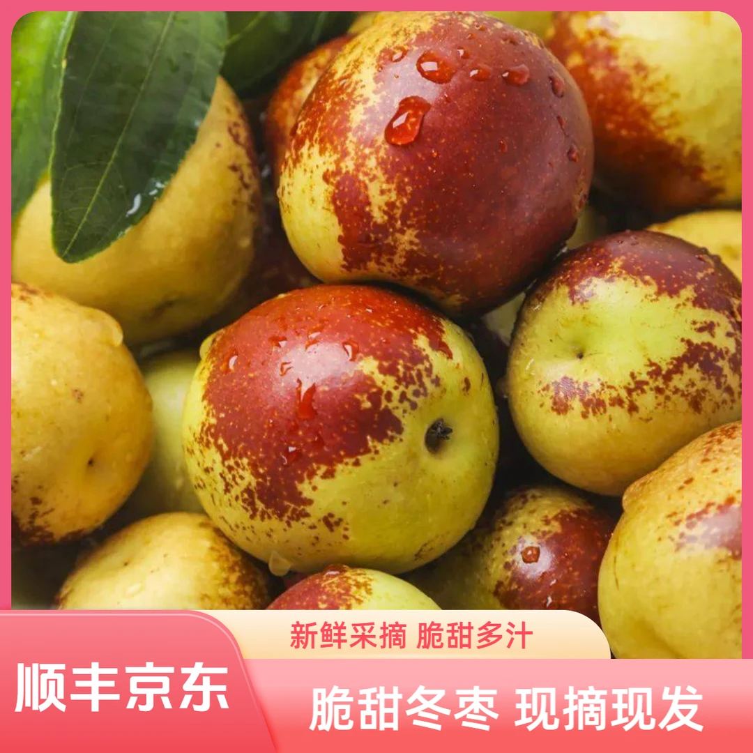 【顺丰京东】脆甜冬枣现摘现发应季新鲜脆甜多汁水果产地直发