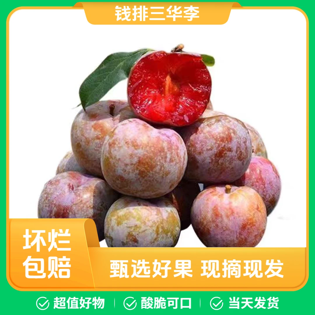 【钱排三华李】当天采摘李子正宗广东钱排红心三华李1斤（送辣椒盐）