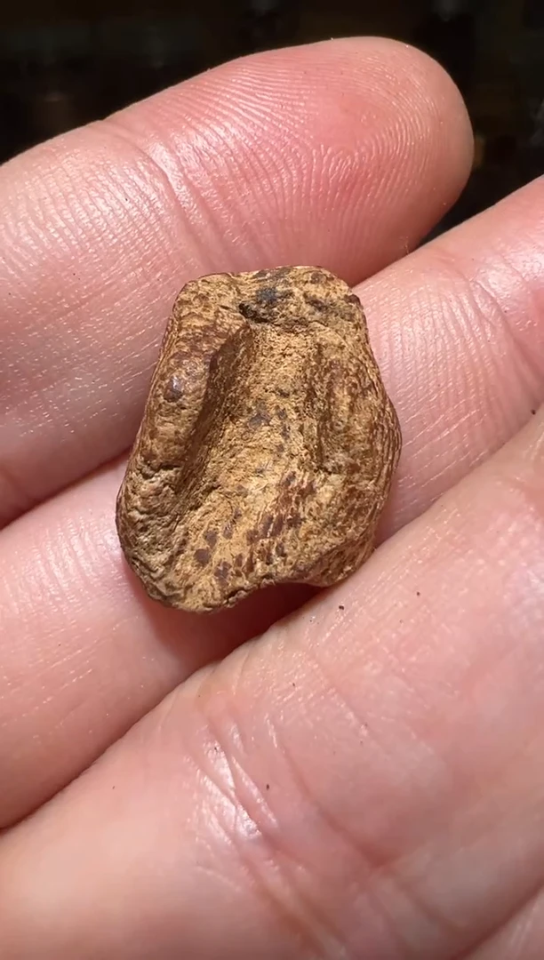 沉香沉香碎屑斯里兰卡0.4克