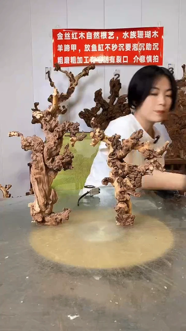 香榧木金丝红木 羊蹄甲