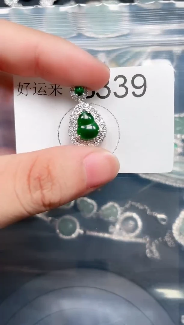 【闪购商品】翡翠颈饰未镶嵌赠皮绳339