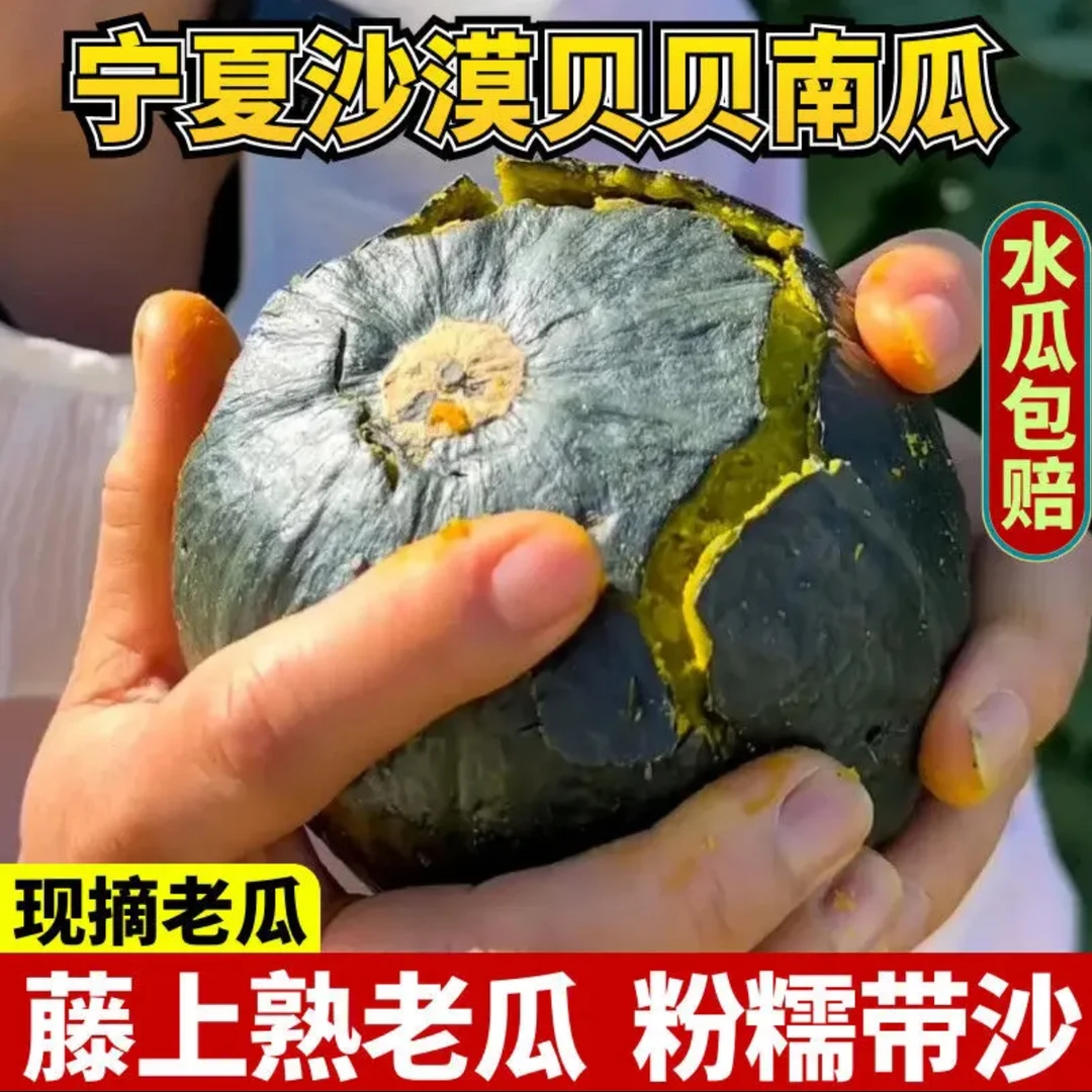 【爆粉大果】正宗沙地真贝贝石头地南瓜粉糯香甜板栗味宝宝辅食