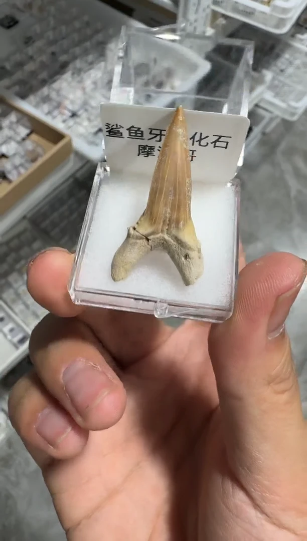 月下珠宝严选矿物