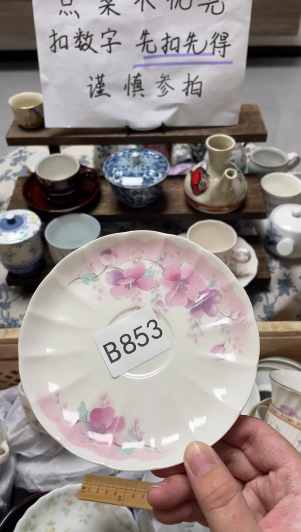 【闪购商品】瓷器瓷器瓷器瓷器B853