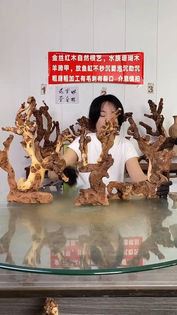香榧木大**?金丝红木   羊蹄甲3