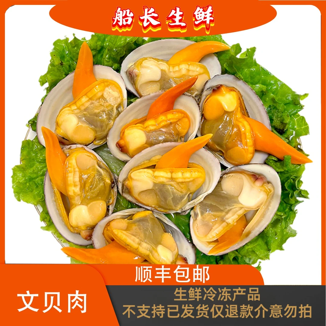 【船长生鲜】冷冻丹东东港大文贝肉鲜美500克一整包