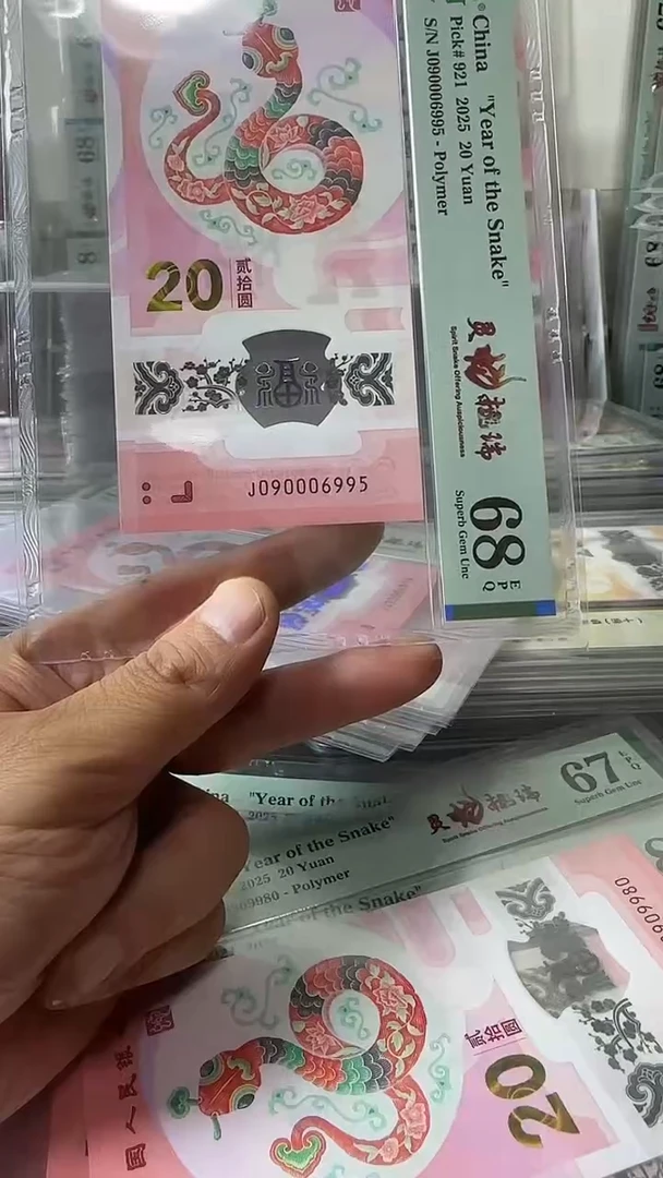 塑料090006995蛇钞单张