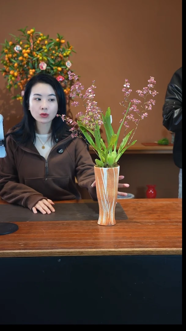 全部花朵香宝贝盆景盆景盆景