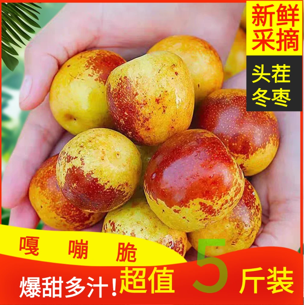 产地直发 现摘现发冰糖脆甜冬枣大棚冬枣新鲜应季脆甜水果