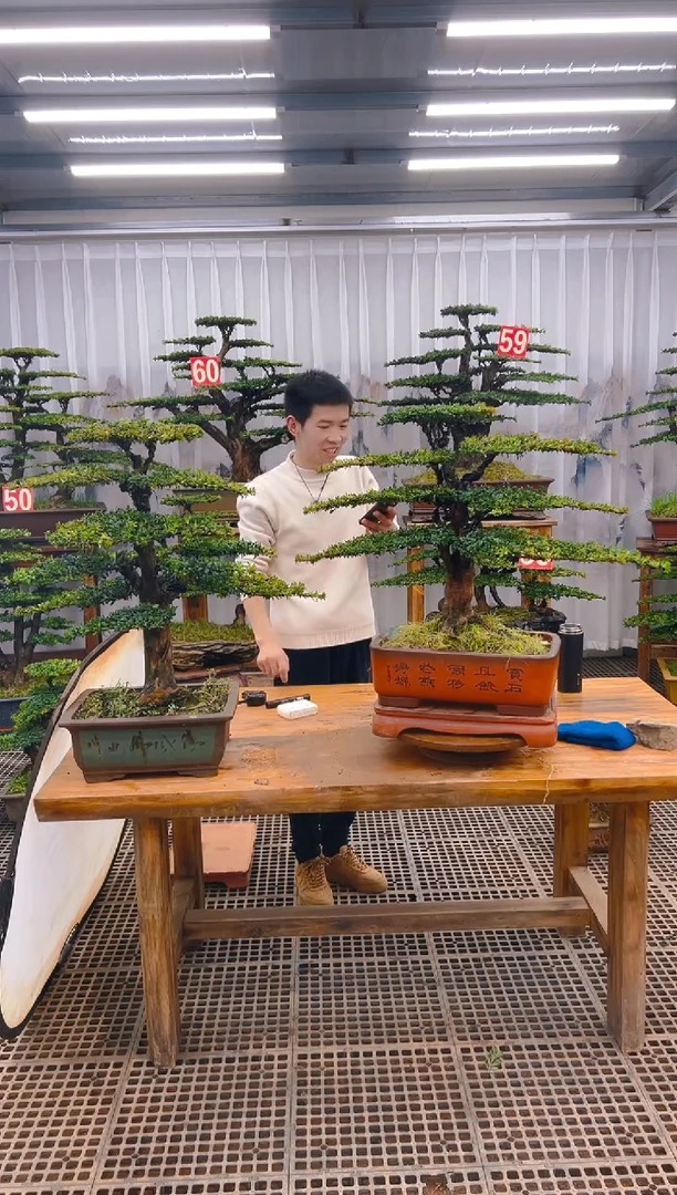 【闪购商品】紫砂精品盆景直播间一物一拍