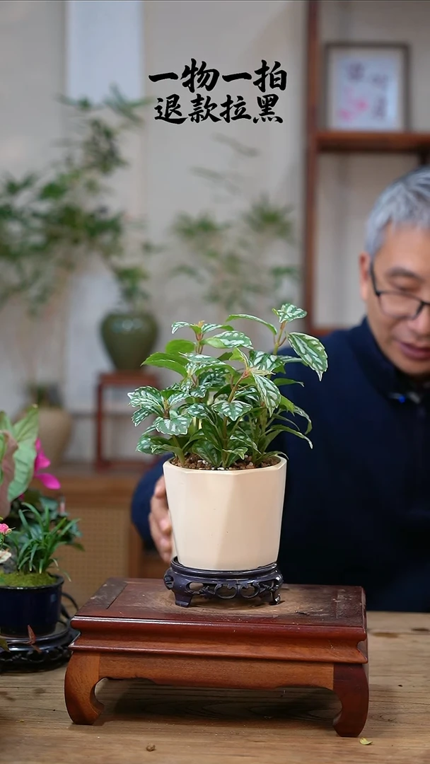 完全开放拾**️冰水花170