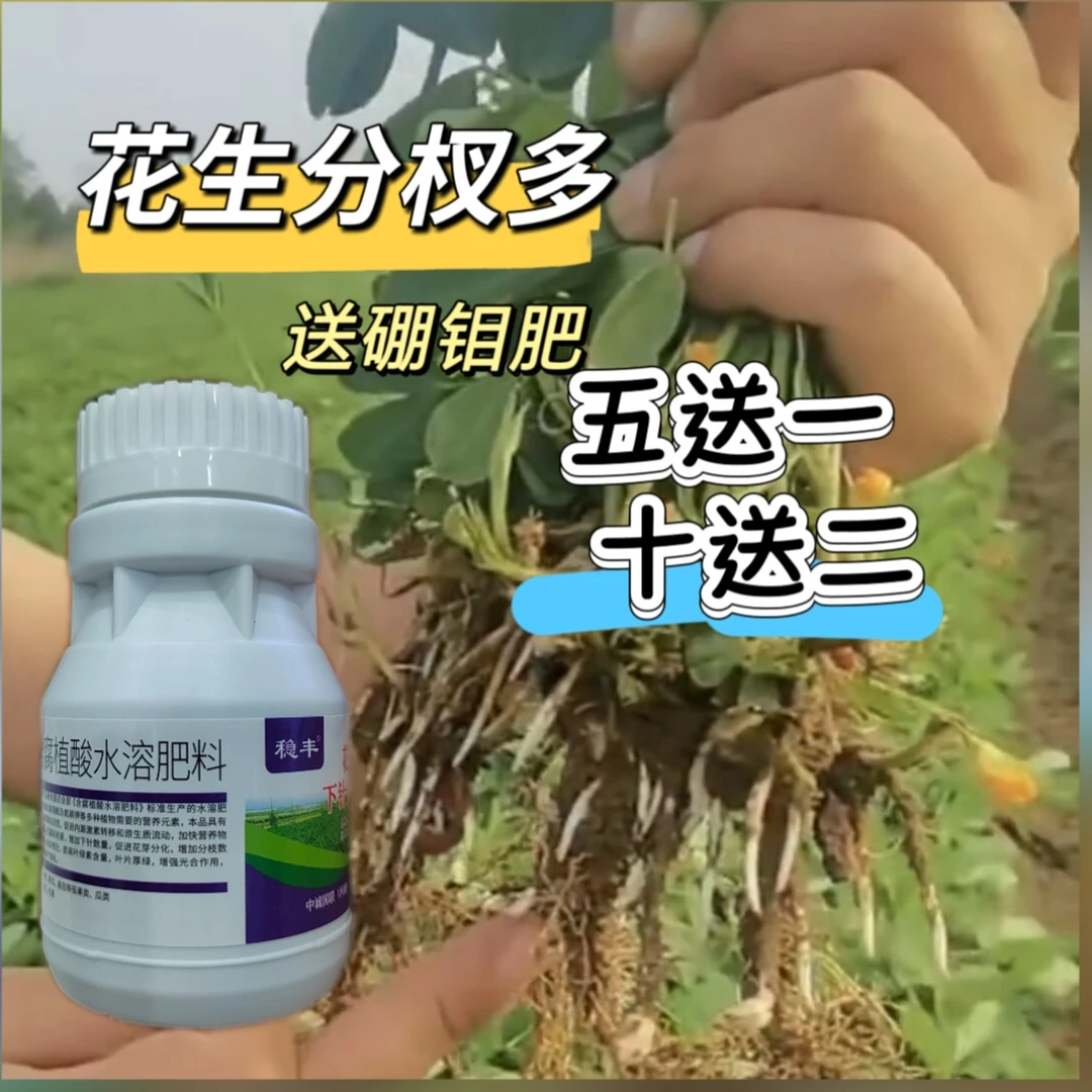 【五送一，十送二】花生下针分杈多水溶肥料