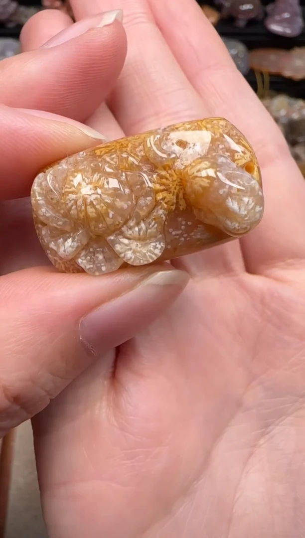 硅化珊瑚（珊瑚玉）未镶嵌颈饰002