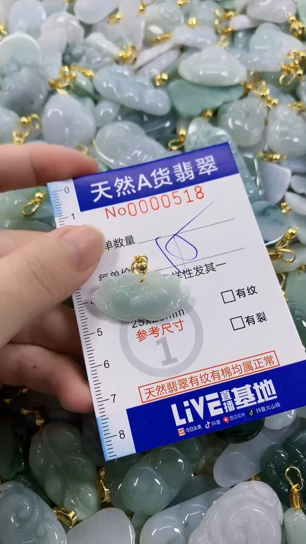 颈饰未镶嵌翡翠天然A货翡翠