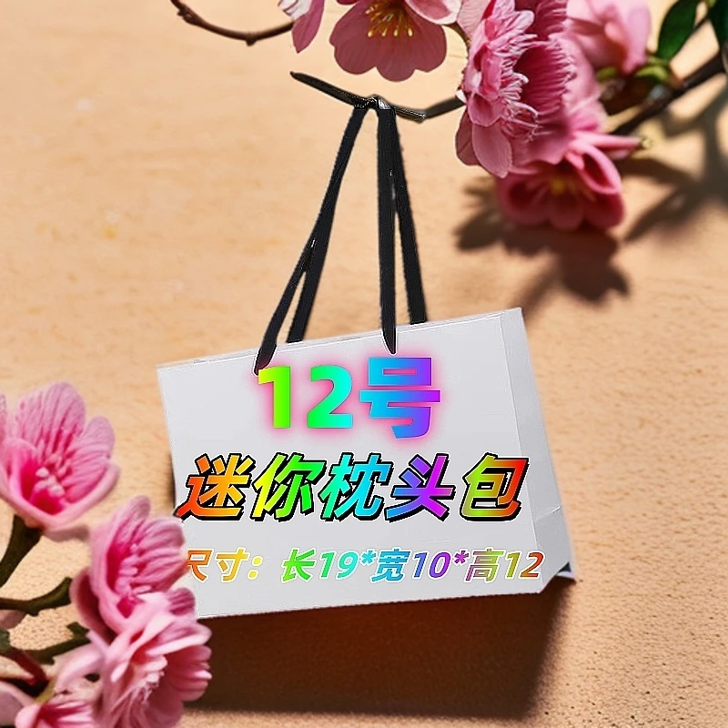 AAA【12】百搭款高端洋气高奢时尚 手提单肩斜挎  枕头包