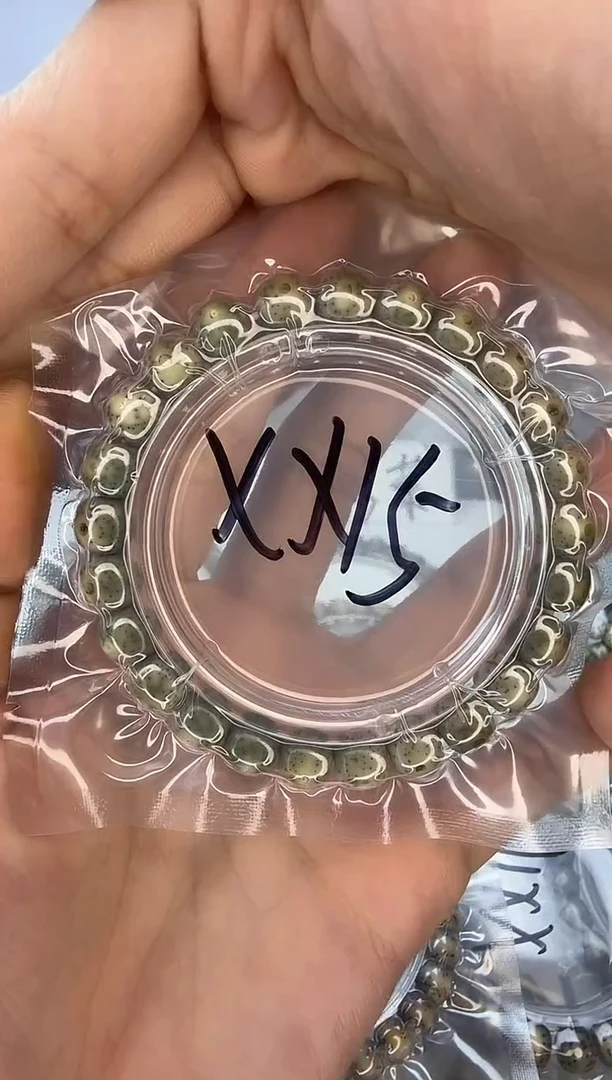 手串星月菩提9/8 绿幽灵 牛毛星 针尖星 同枝果 小高货