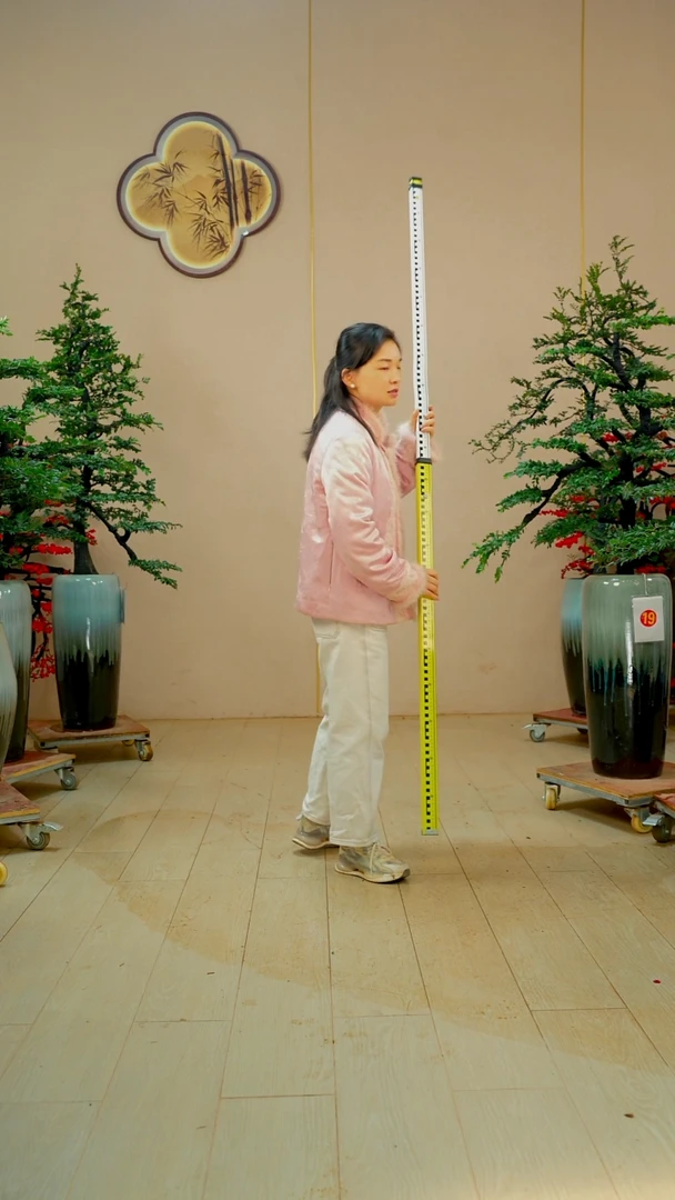 以实际为准龚****r【广东小叶紫檀】落地高端盆景绿植四季常青常绿