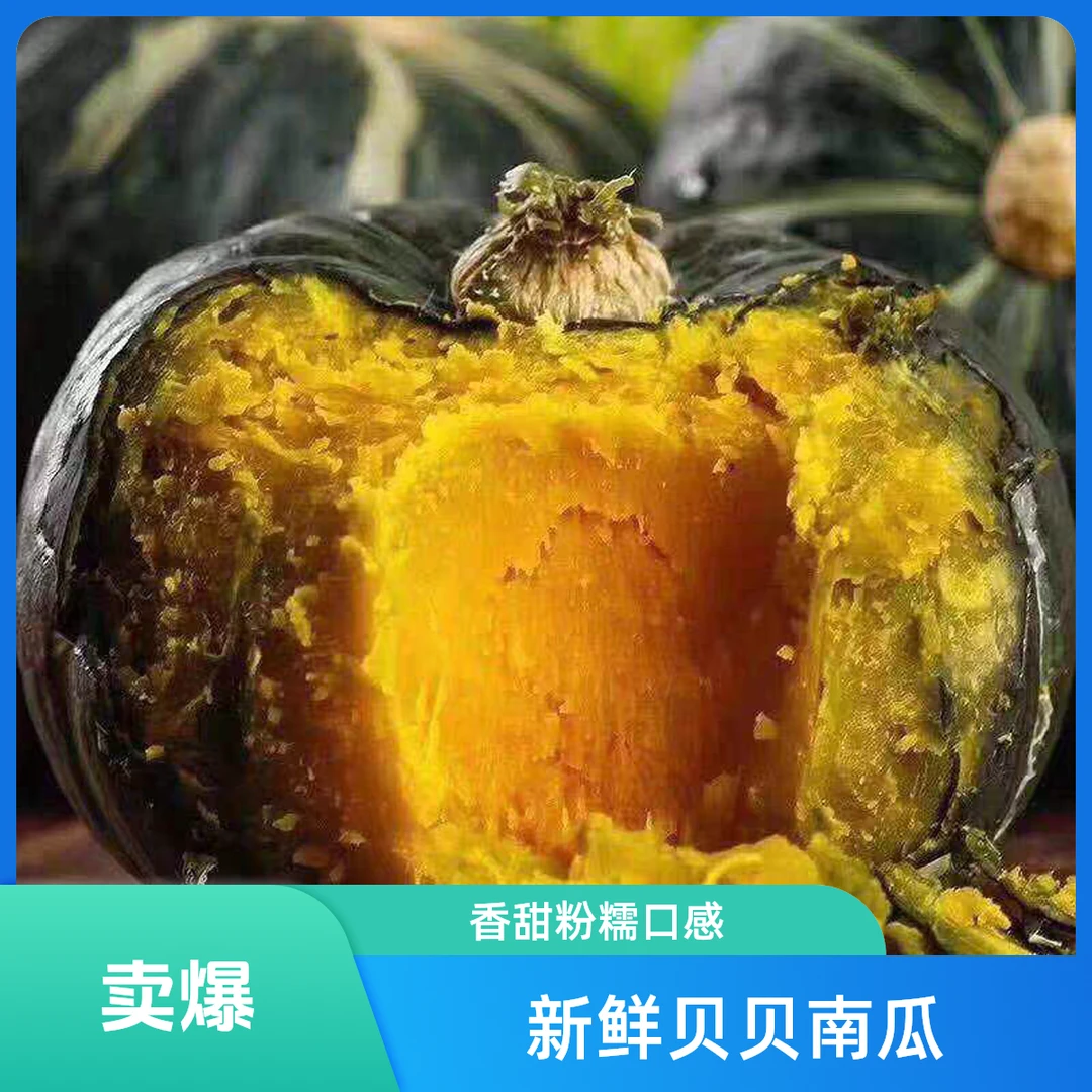 惠和一号贝贝南瓜2.6斤南瓜同城送