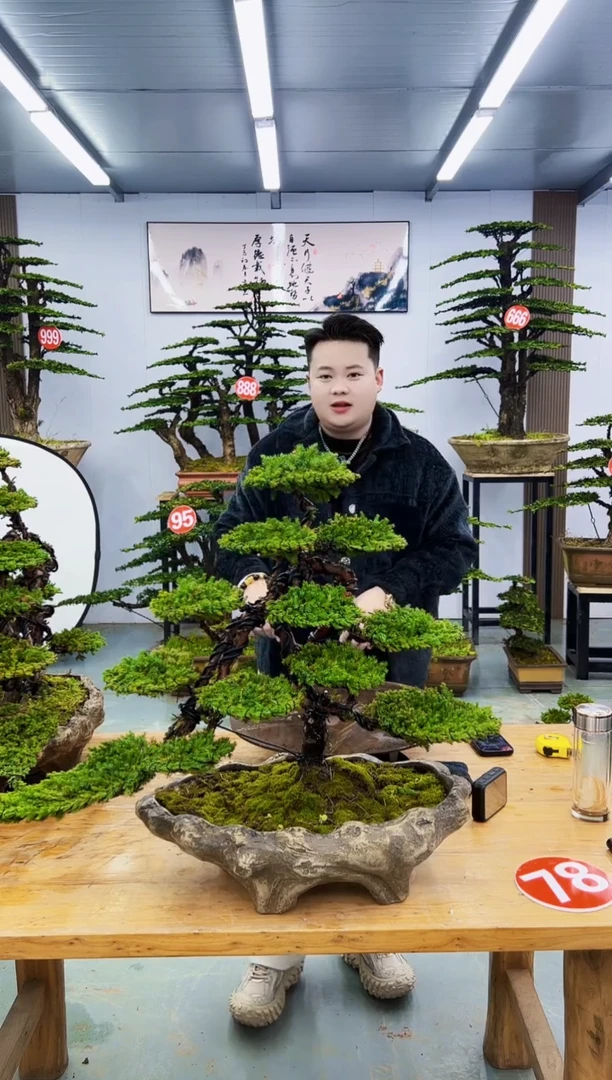 以实际为准W**诚00000000