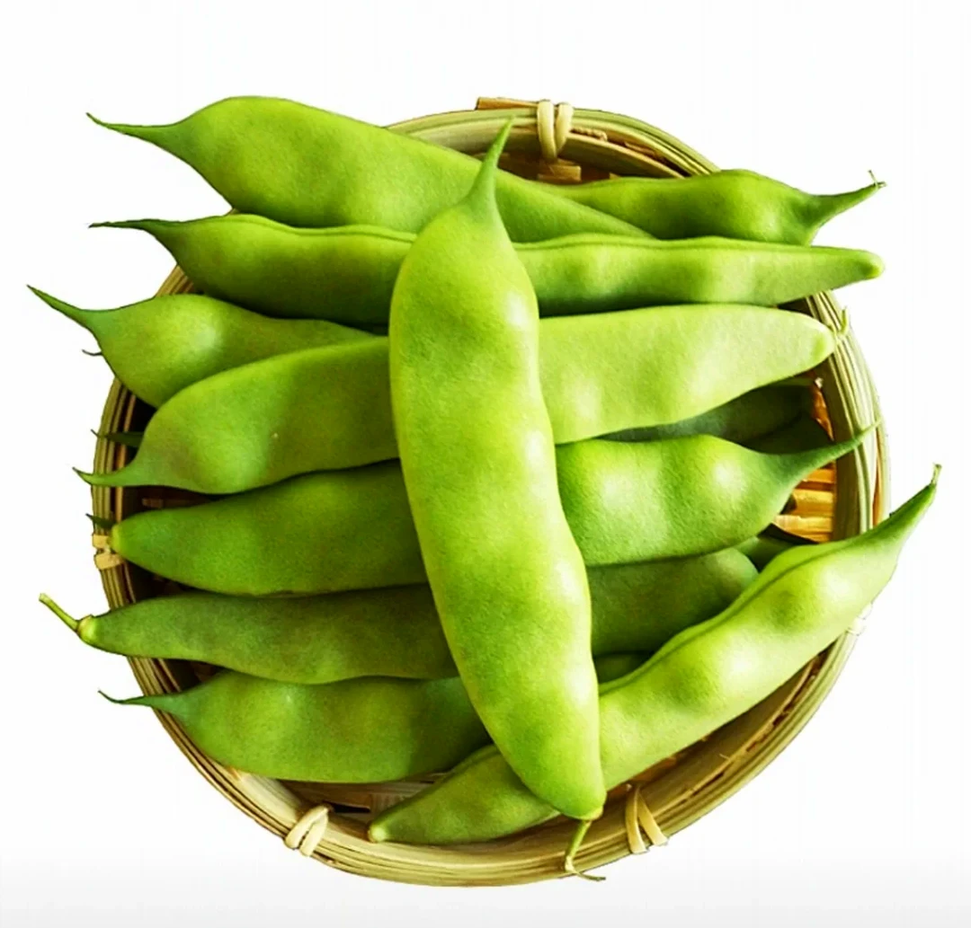 东北油豆角  现摘现发货