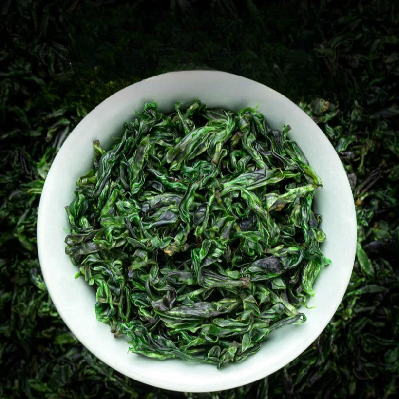 2025年新茶叶小叶苦丁茶3A精选新茶峨嫩芽花草茶绿茶罐装口粮500g