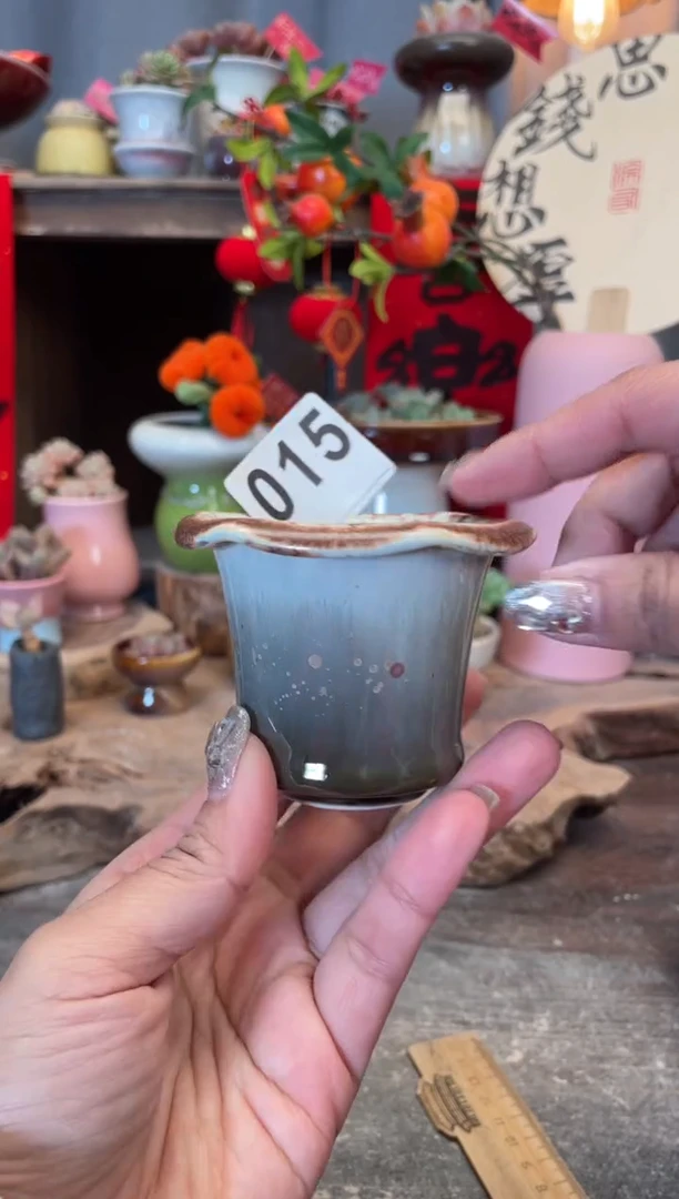 【闪购商品】摆件015知木小芳花盆