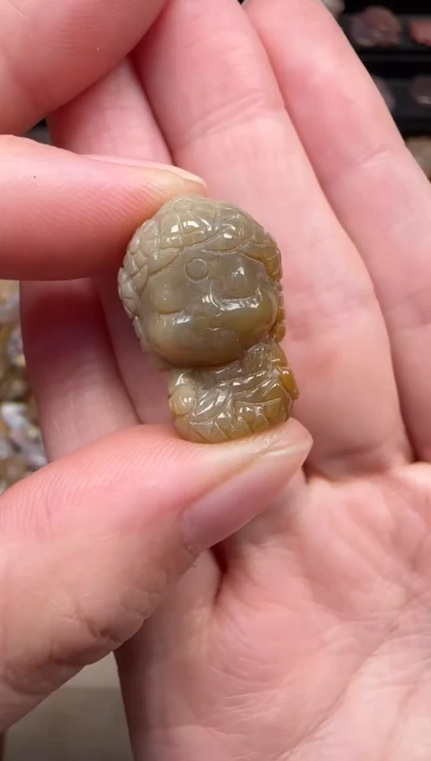 颈饰未镶嵌硅化珊瑚（珊瑚玉）328