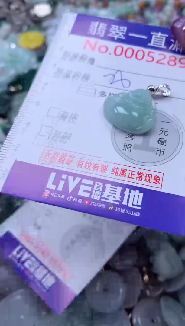 翡翠未镶嵌吊坠(不含链)5289