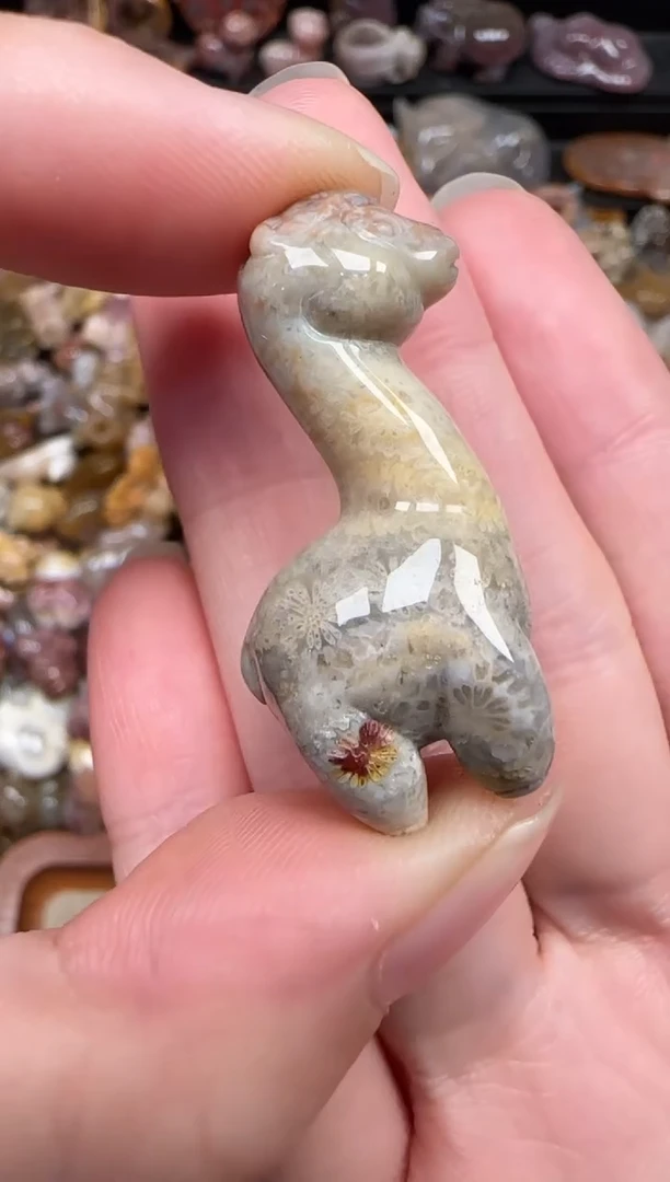 颈饰未镶嵌硅化珊瑚（珊瑚玉）723