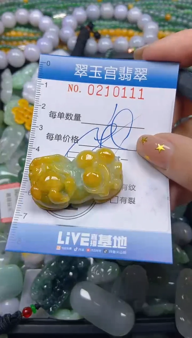 颈饰未镶嵌翡翠闪购C0210111多样性发其一