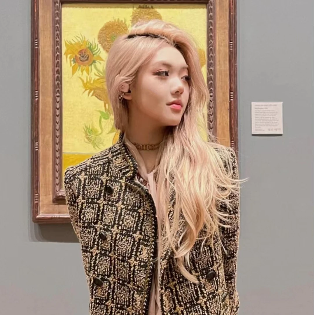 全新未使用 LouisVuitton/路易威登 排扣格纹外套 棕色/38