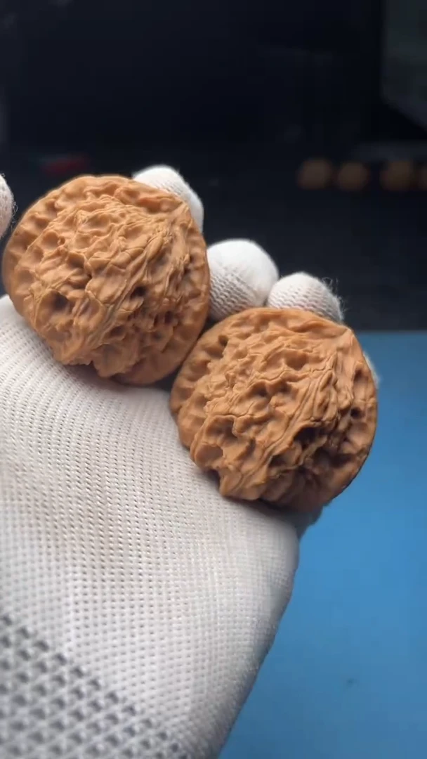 桃核把件a60  白狮子42尺