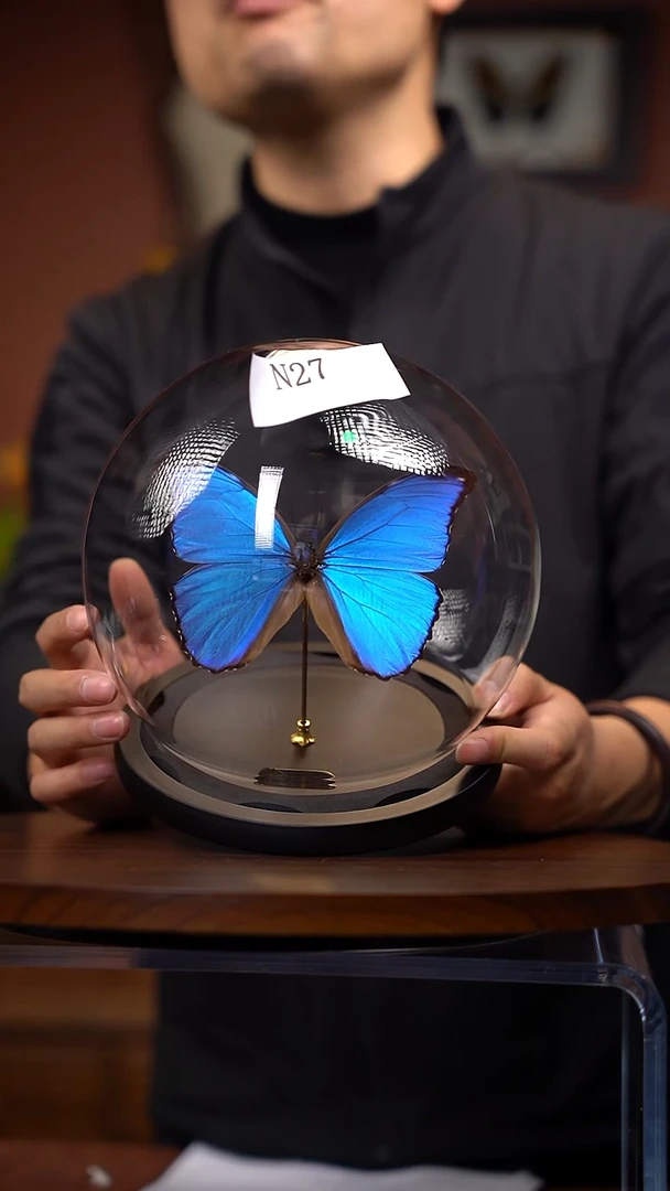 N27大蓝闪蝶玻璃球竞拍