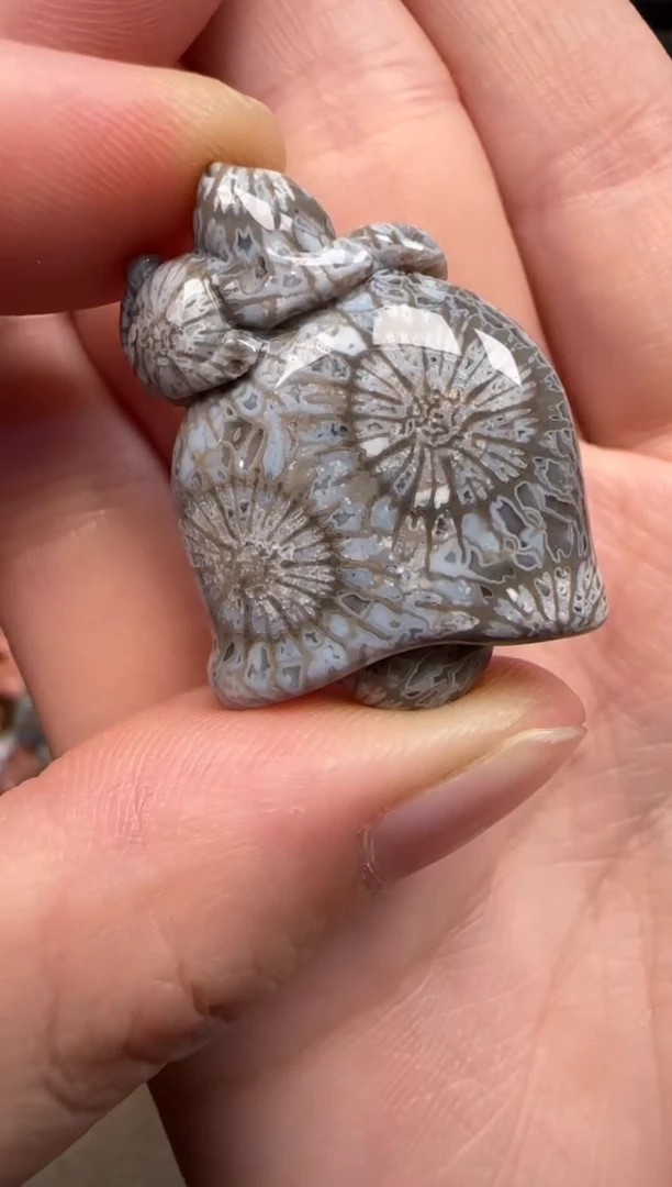 硅化珊瑚（珊瑚玉）未镶嵌颈饰602