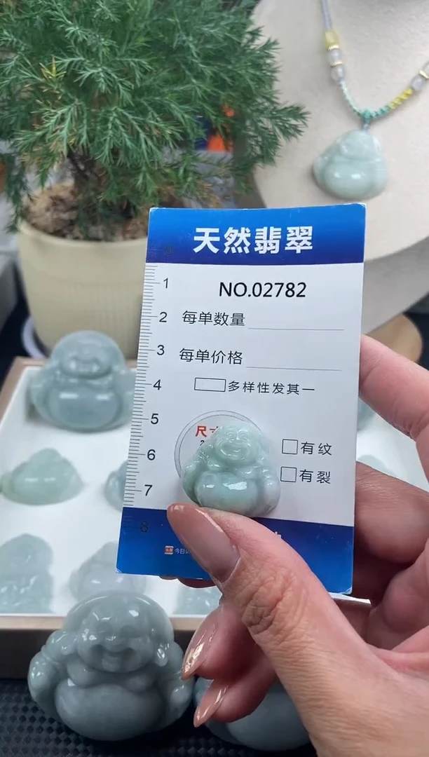 颈饰未镶嵌翡翠纯天然A货翡翠2782