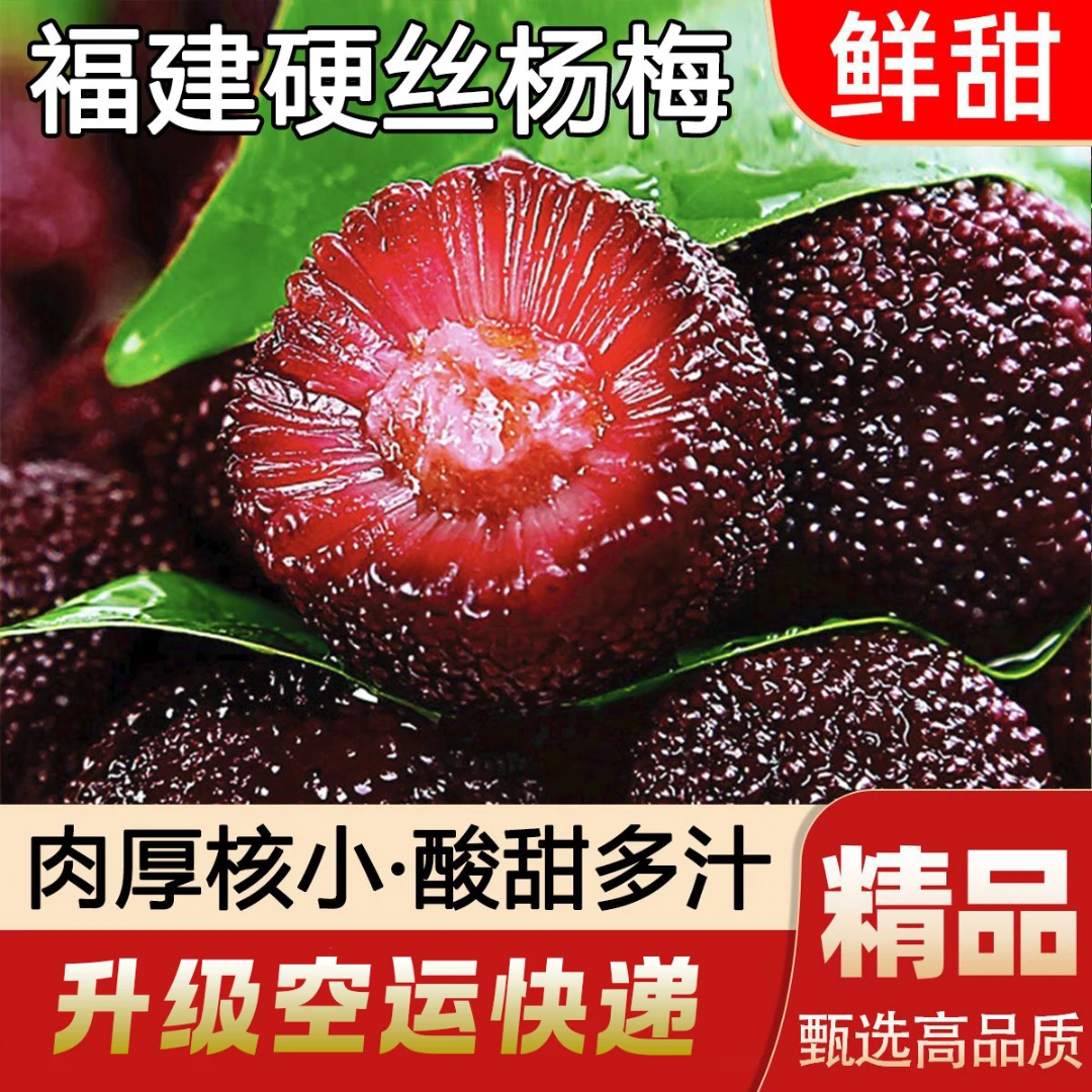 【空运直达】杨梅老树新鲜现摘水果应季泡酒孕妇水果时令当季整箱