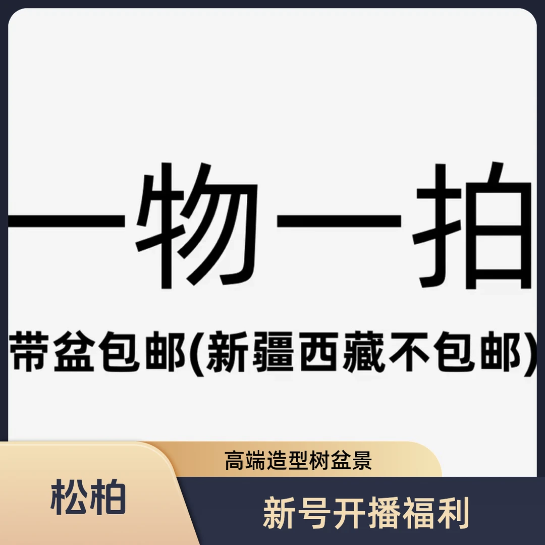一物一拍请勿盲拍四季常青高端松柏造型树盆景直播间专项链接