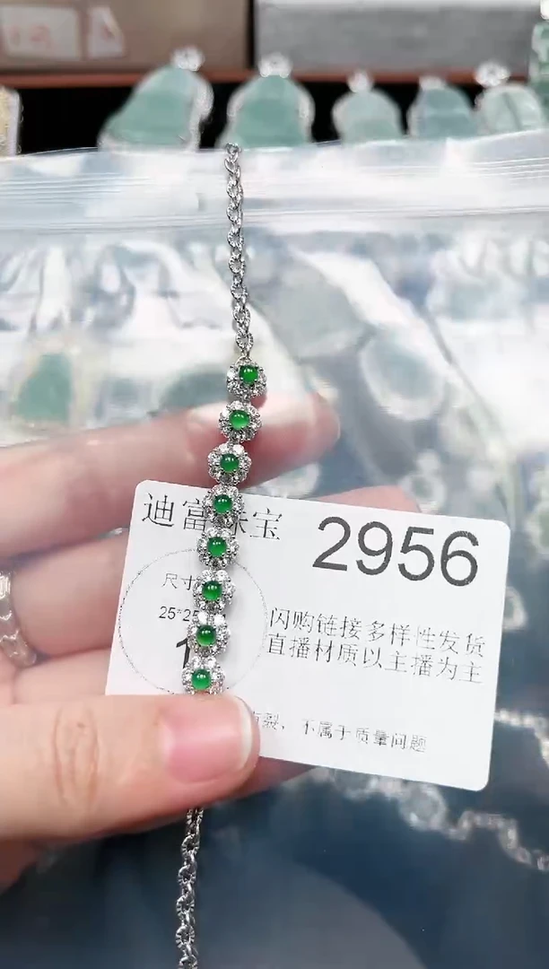 【闪购商品】翡翠颈饰未镶嵌赠皮绳2956