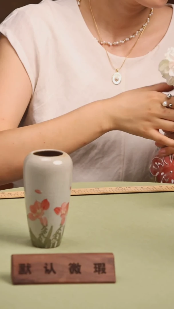 瓷片不带花景德镇手工手绘陶瓷花瓶赏瓶