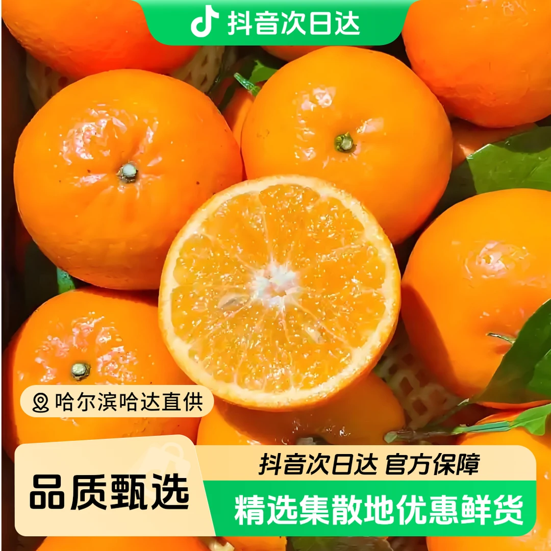 沃柑/橙3.5斤/净果 【胖东果业】