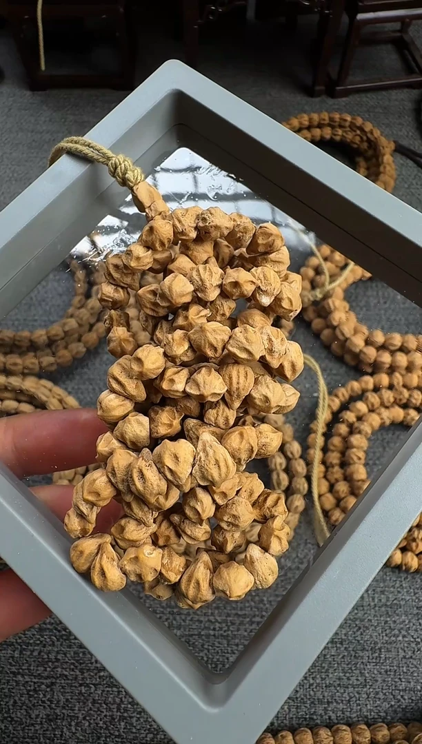 吊坠柏香籽/百香籽大肠