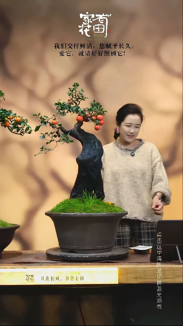 无花朵勇****堃家有花田-老桩金弹子