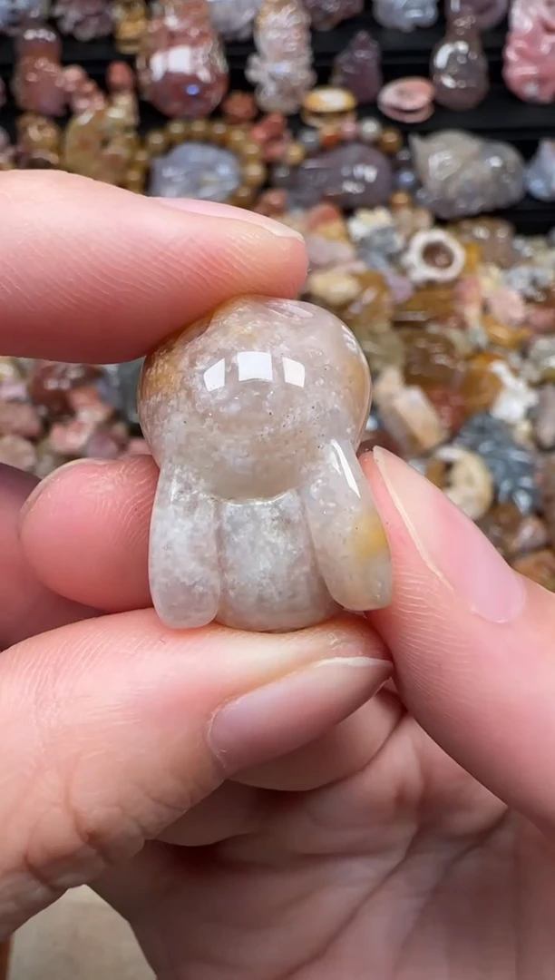 颈饰未镶嵌硅化珊瑚（珊瑚玉）069